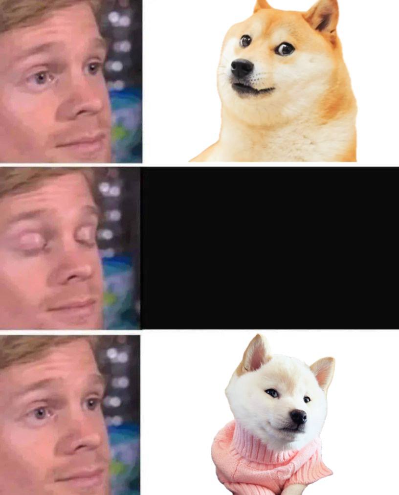 GNOCCHI Meme by buy/$gnocchi