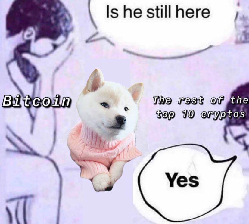 GNOCCHI Meme by buy/$gnocchi