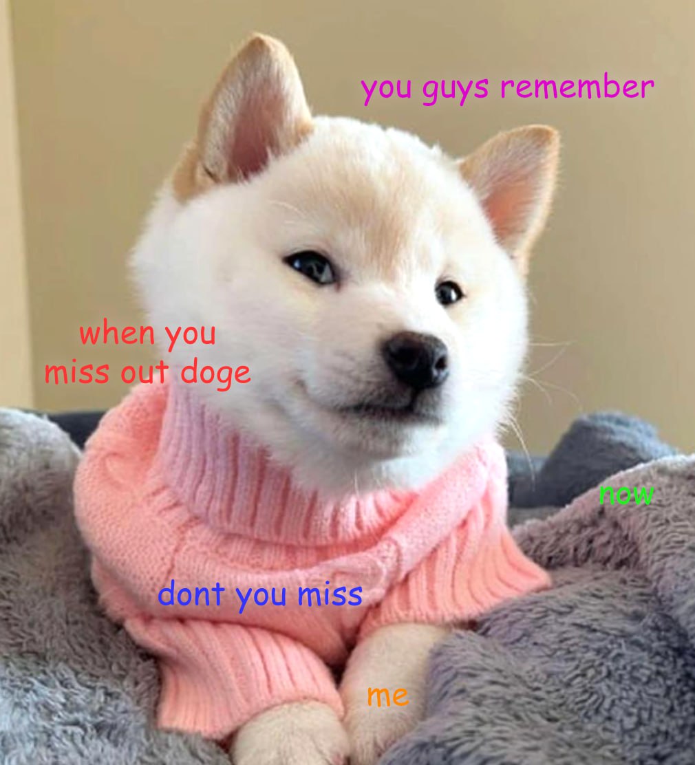 GNOCCHI Meme by buy/$gnocchi