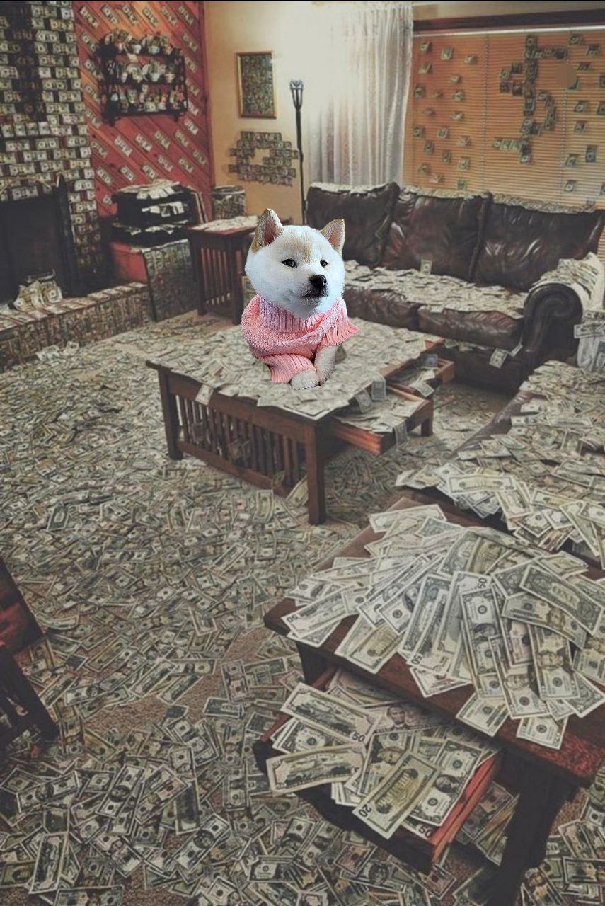 GNOCCHI Meme by buy/$gnocchi