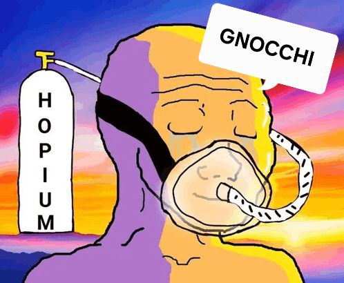 GNOCCHI Meme by buy/$gnocchi
