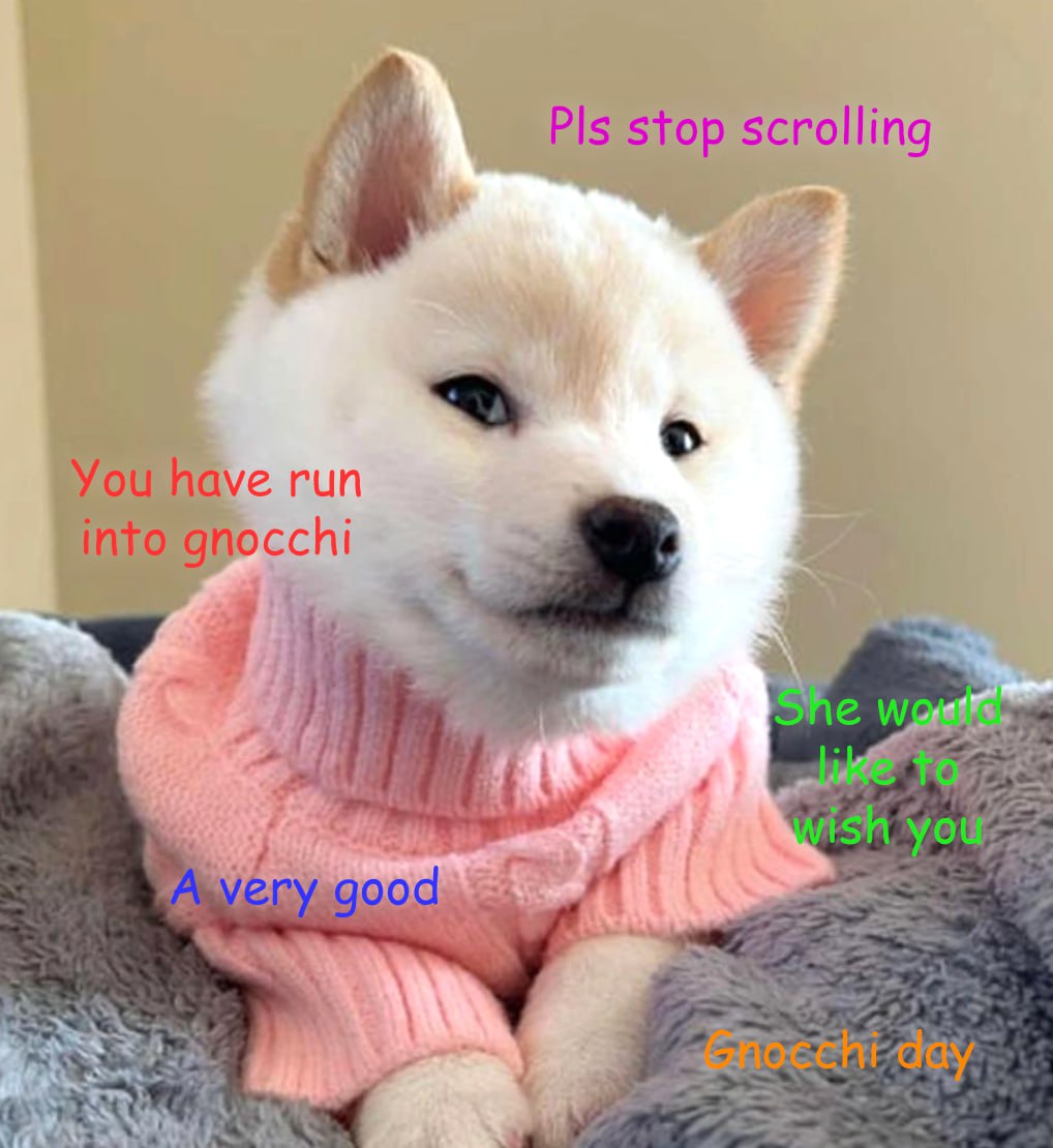 GNOCCHI Meme by buy/$gnocchi