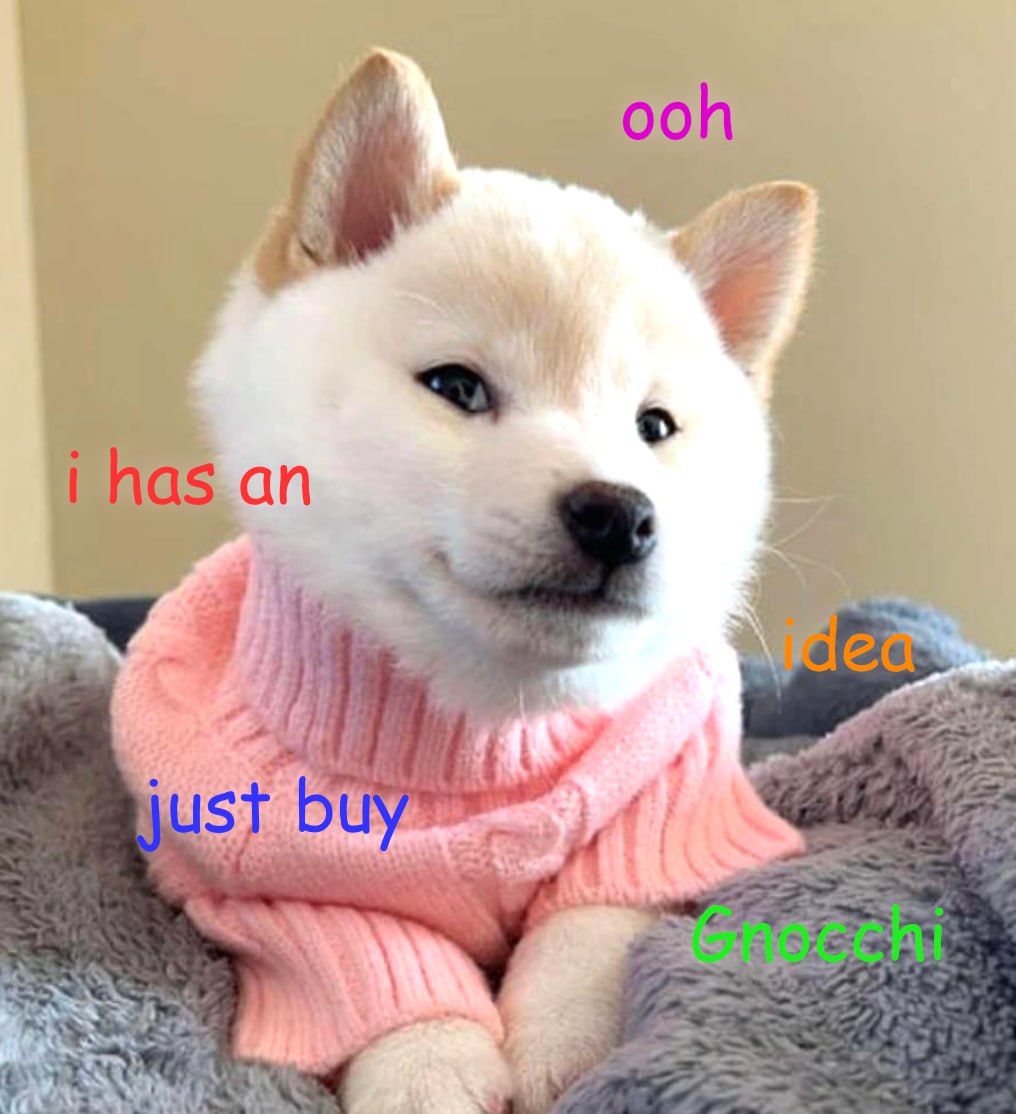 GNOCCHI Meme by buy/$gnocchi