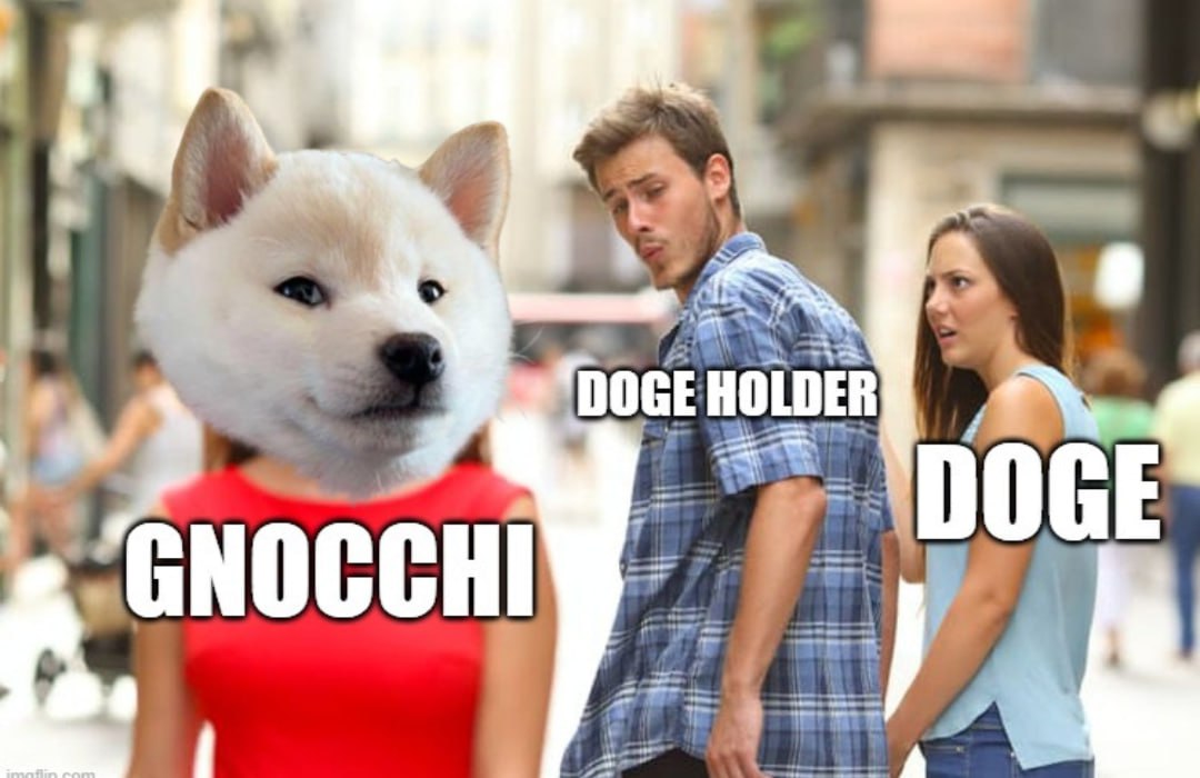 GNOCCHI Meme by buy/$gnocchi