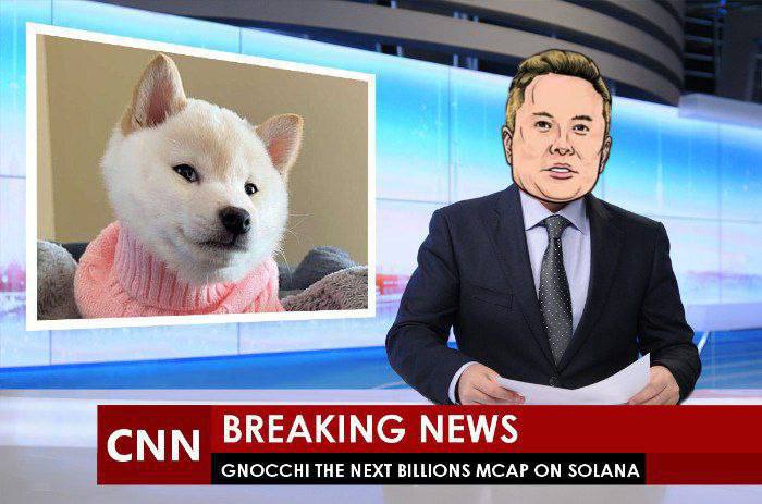 GNOCCHI Meme by buy/$gnocchi