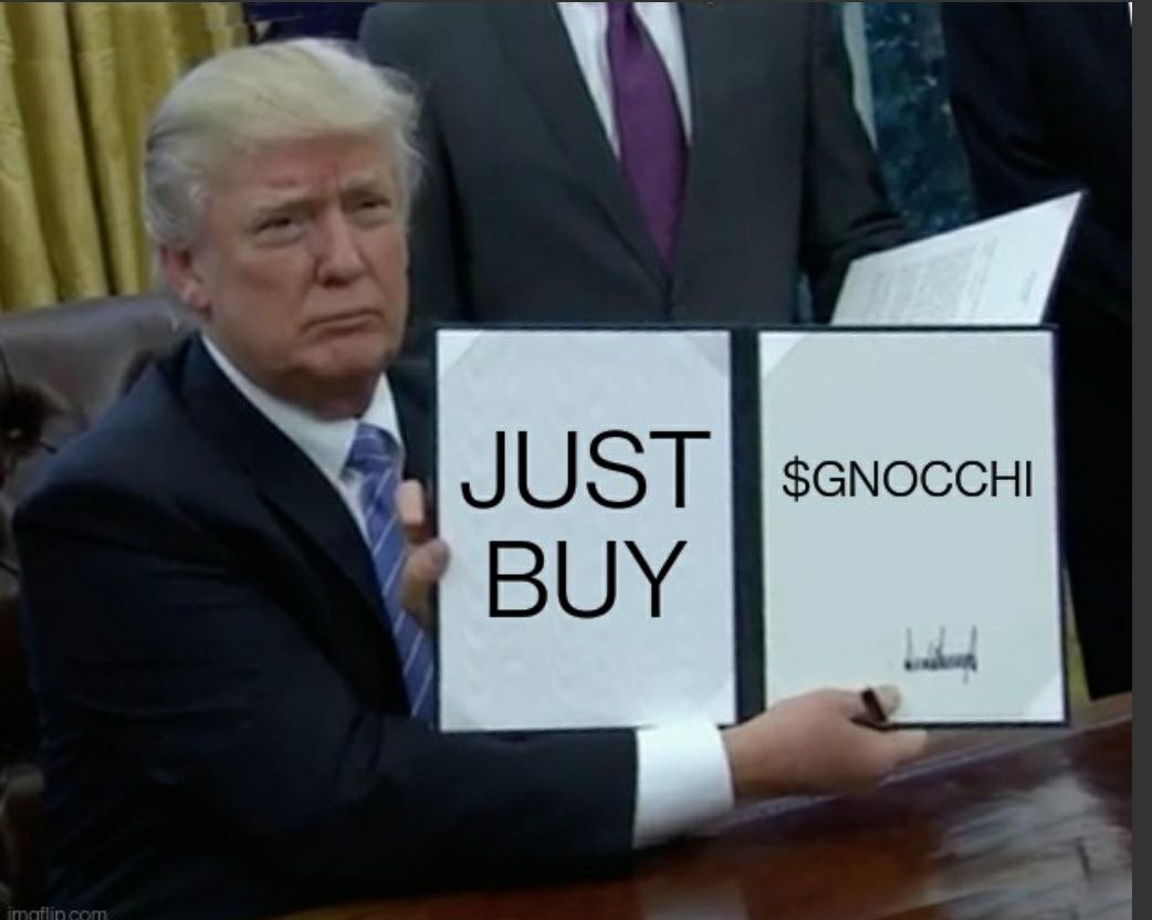 GNOCCHI Meme by buy/$gnocchi