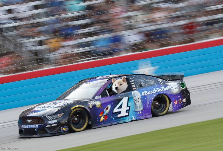 GNOCCHI Meme by buy/$gnocchi