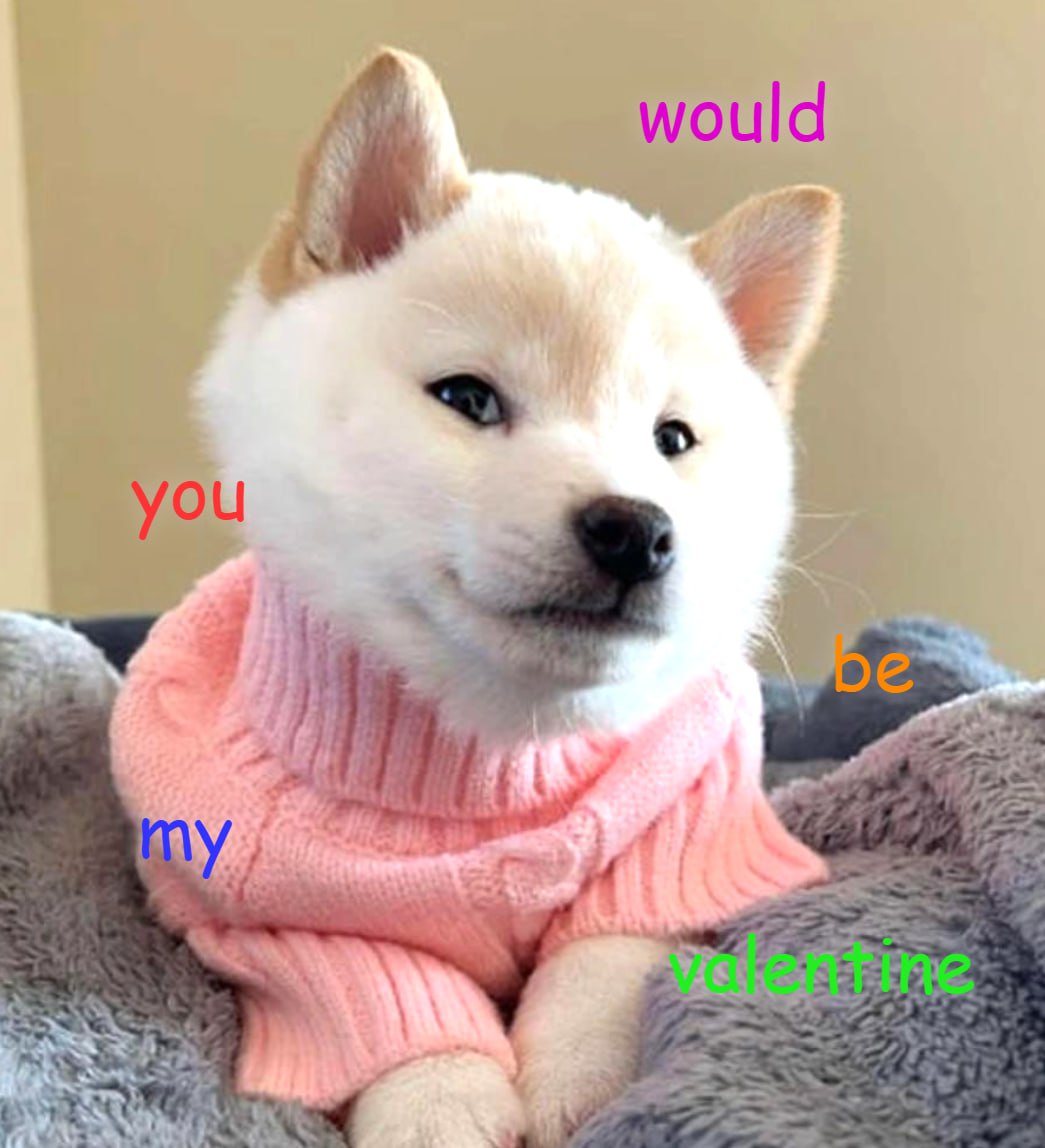 GNOCCHI Meme by buy/$gnocchi