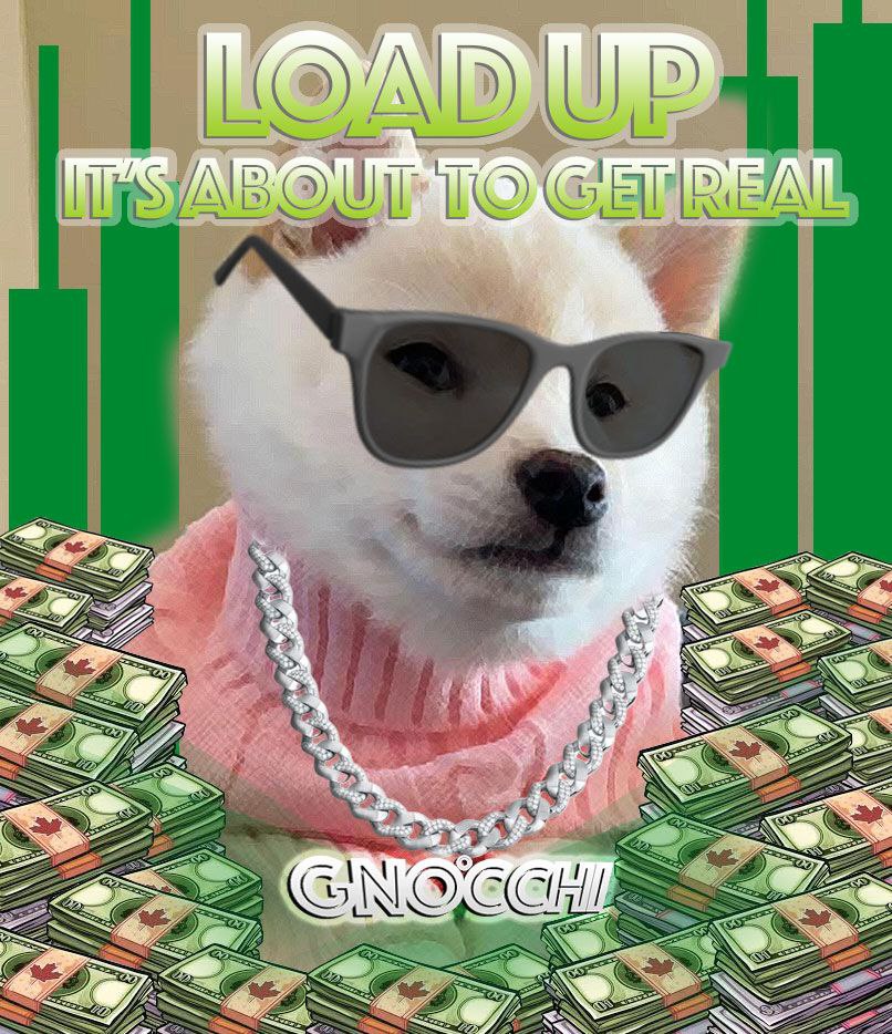 GNOCCHI Meme by buy/$gnocchi