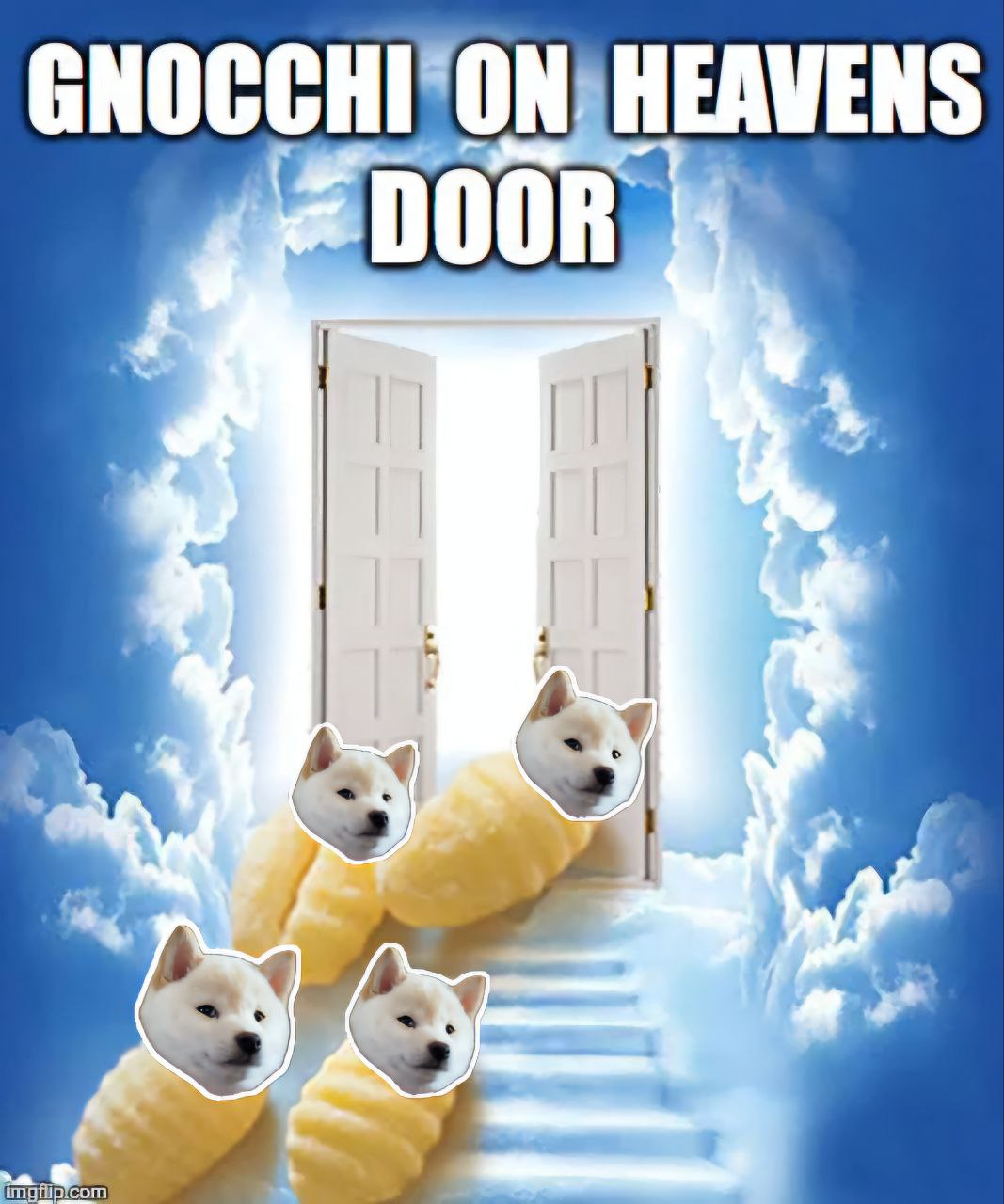 GNOCCHI Meme by buy/$gnocchi