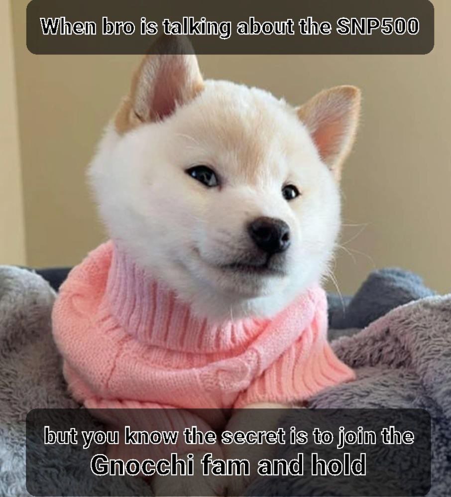 GNOCCHI Meme by buy/$gnocchi