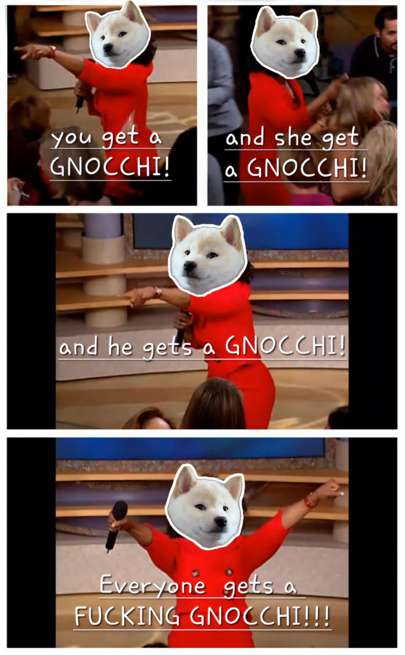 GNOCCHI Meme by buy/$gnocchi