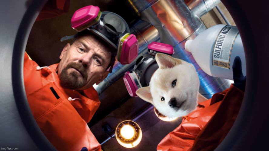 GNOCCHI Meme by buy/$gnocchi