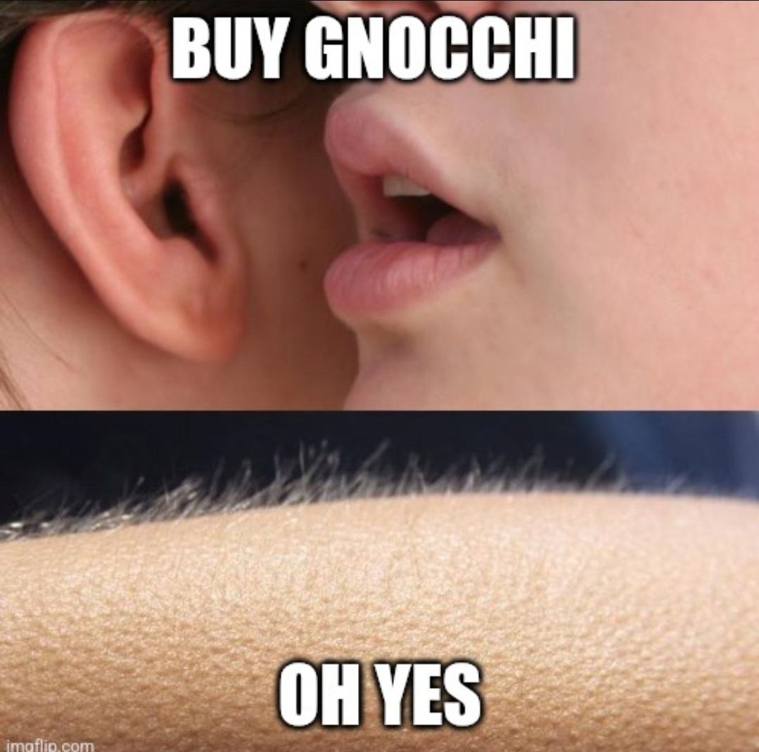 GNOCCHI Meme by buy/$gnocchi