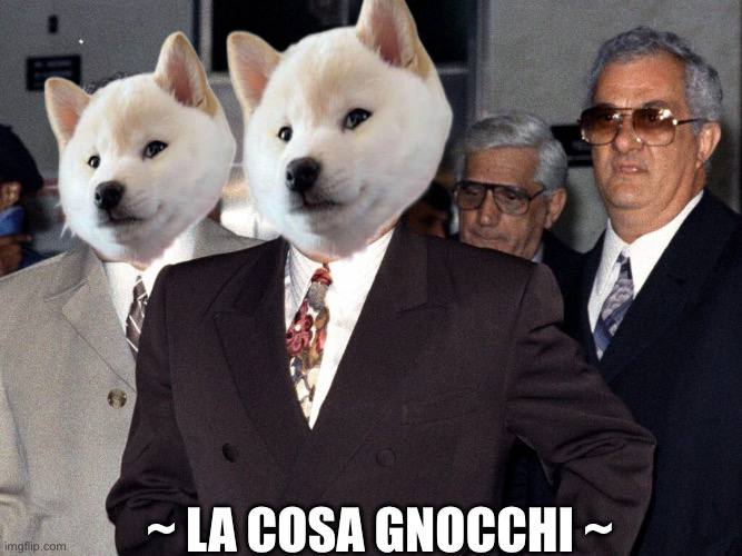 GNOCCHI Meme by buy/$gnocchi