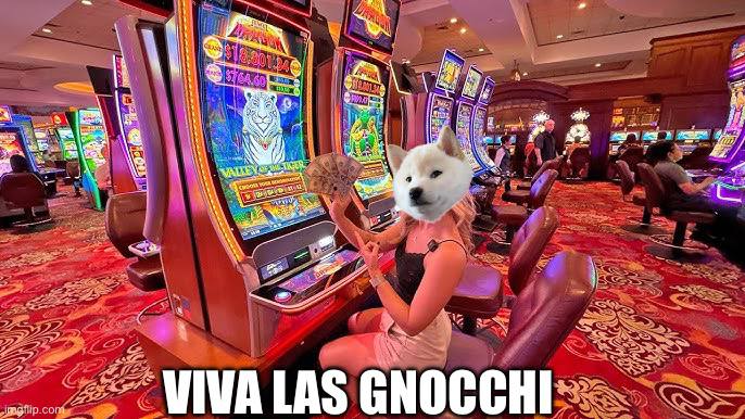 GNOCCHI Meme by buy/$gnocchi